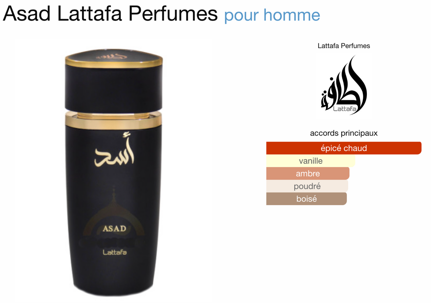ASAD LATTAFA - HOMME - EAU DE PARFUM 100 ML