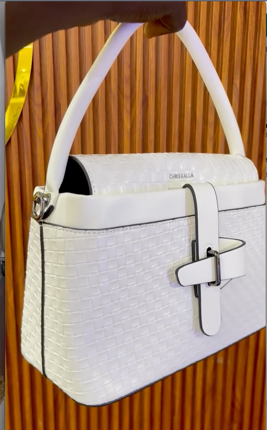 Sac à main - Chris Kalla 2